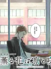 遮天动漫在线观看